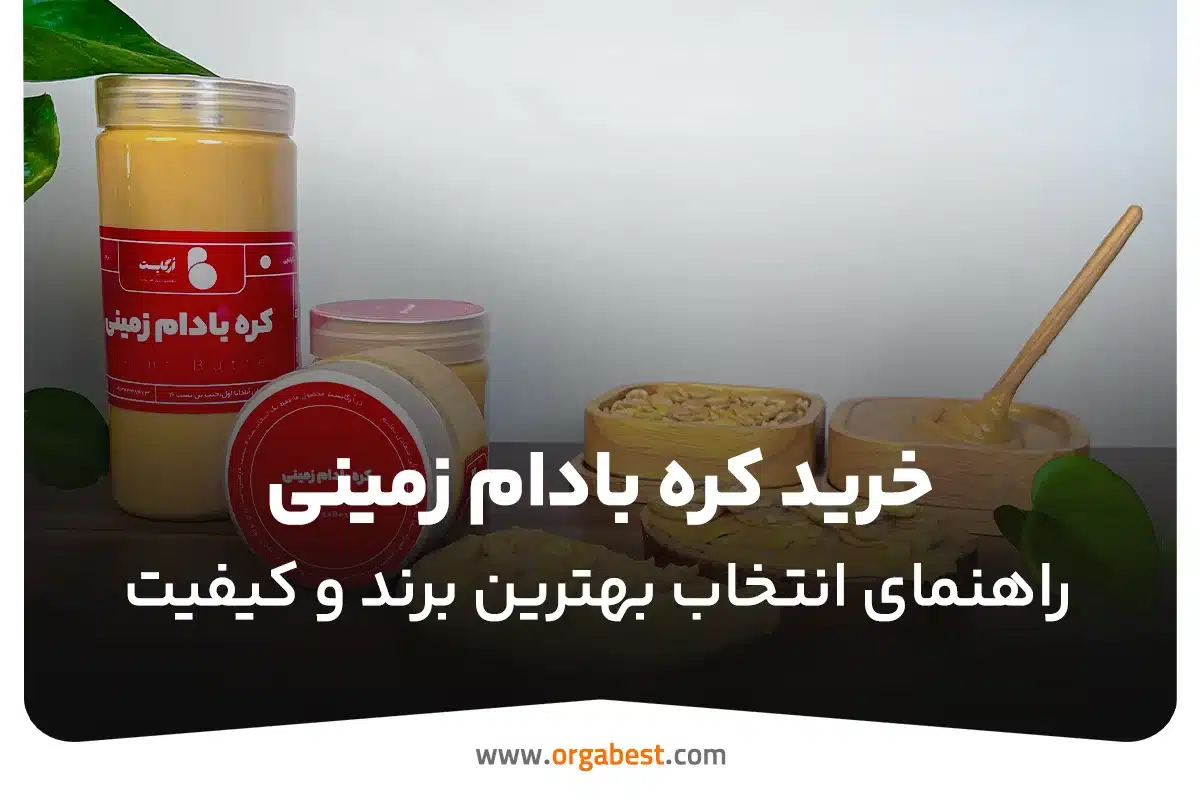 خرید کره بادام زمینی؛ راهنمای انتخاب بهترین برند و کیفیت