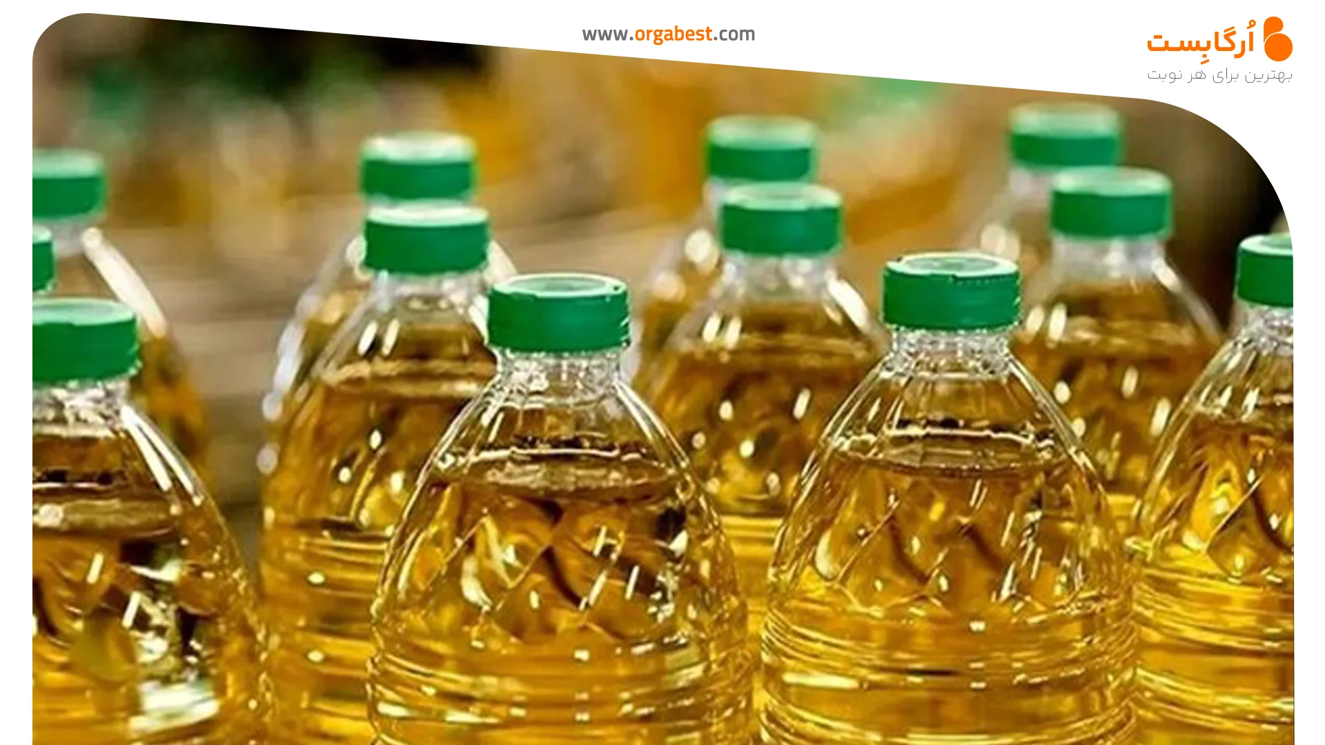 آشنایی با انواع روغن خوراکی و کاربرد هرکدام در آشپزی