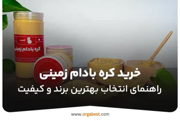 خرید کره بادام زمینی؛ راهنمای انتخاب بهترین برند و کیفیت